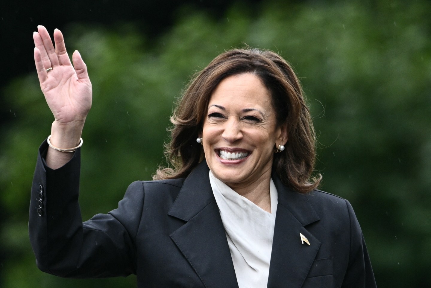 Kamala Harris smiles and waives into the camera.