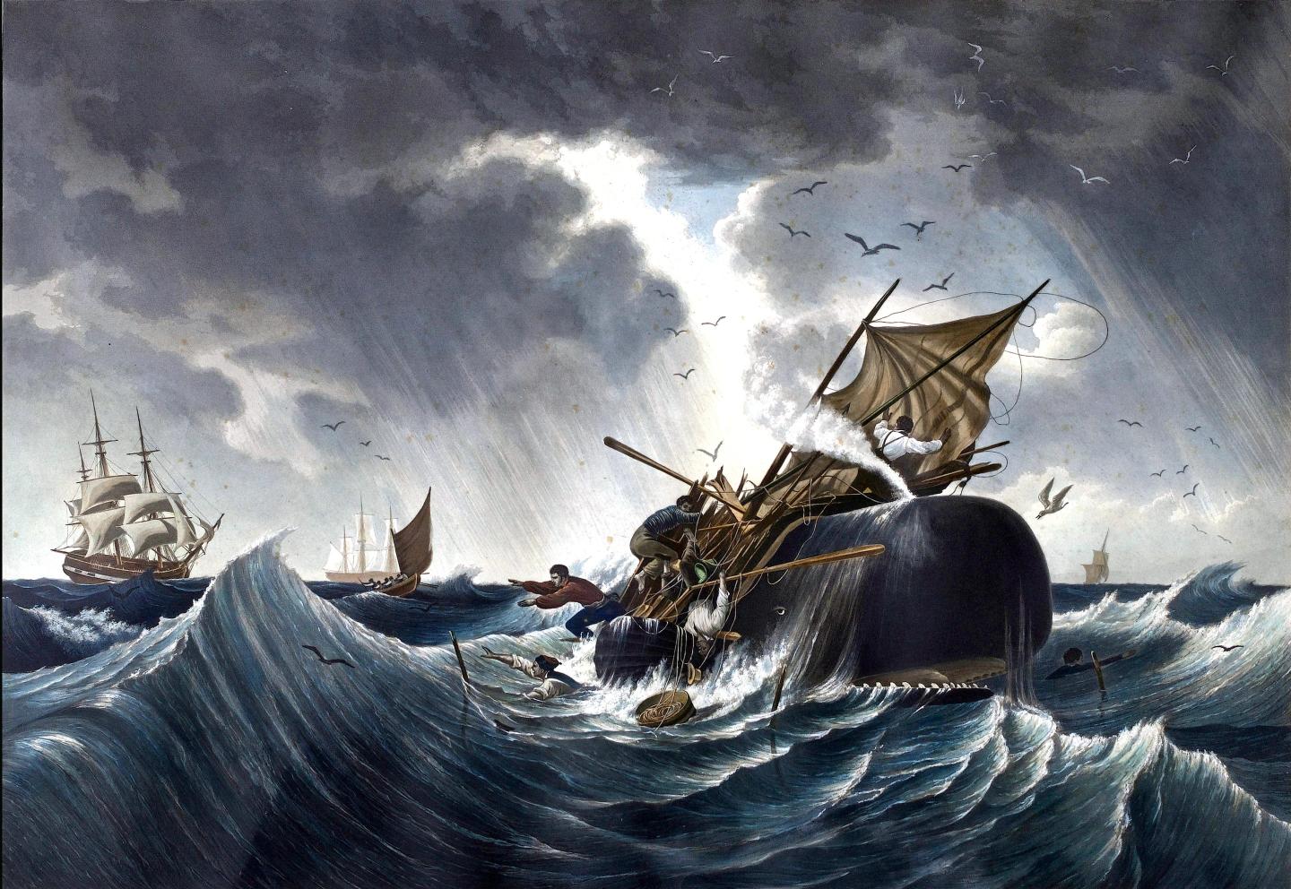 How whaling ventures in the 1800s shaped venture capital as we know it