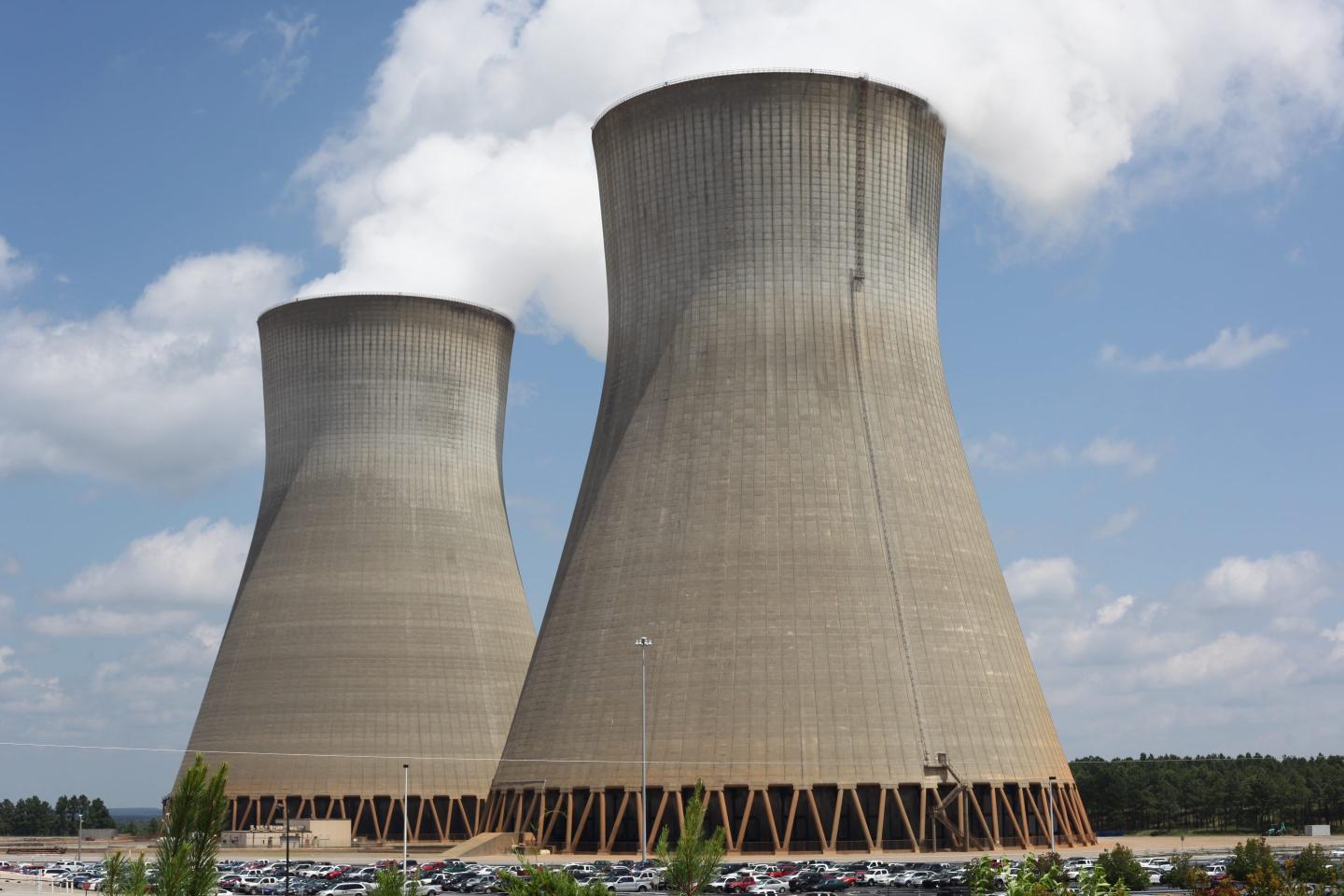 Nuclear reactor taken offline in Georgia due to ‘valve issue’