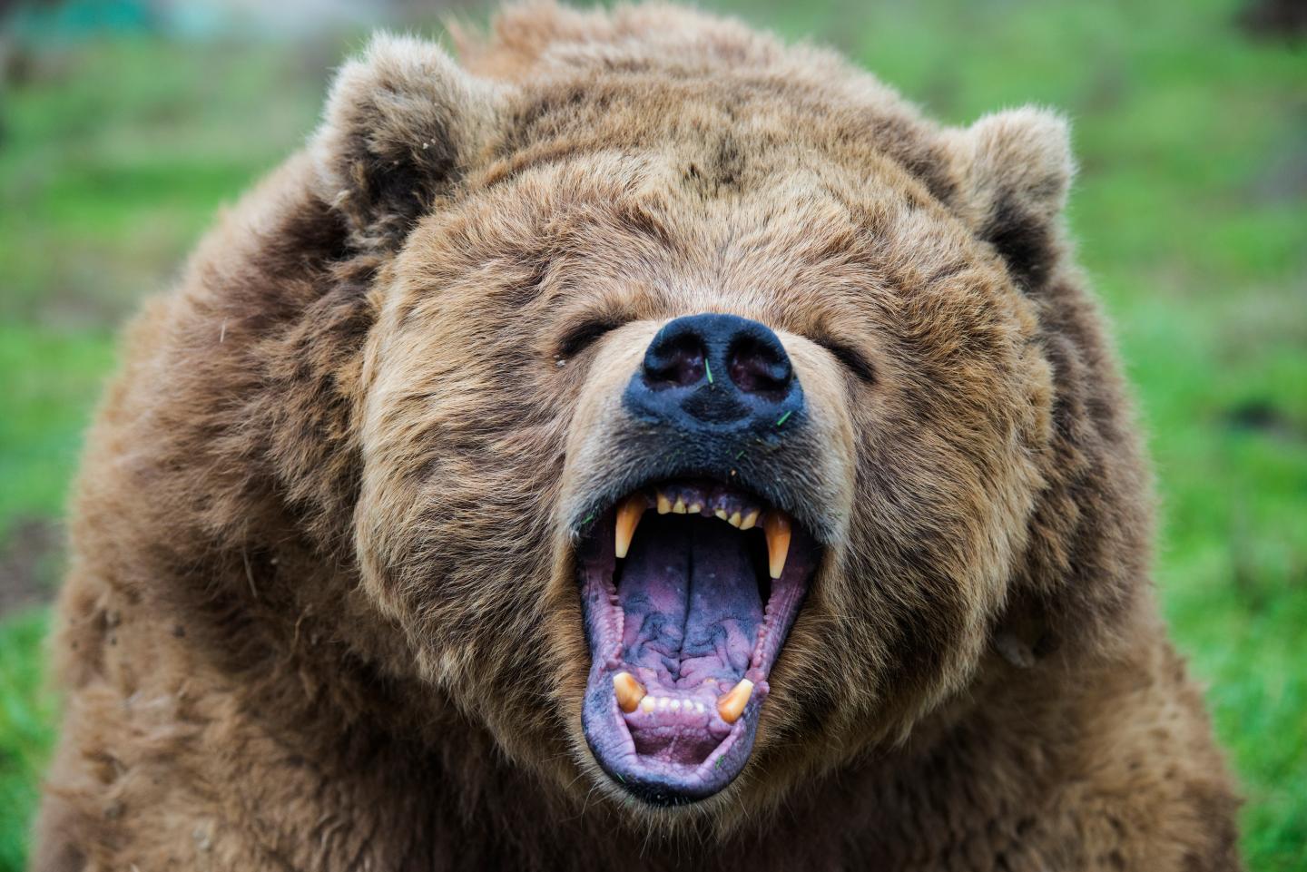 On Wall Street bearish investors are out of favor—but there’s mounting evidence they are right about the stock market outlook