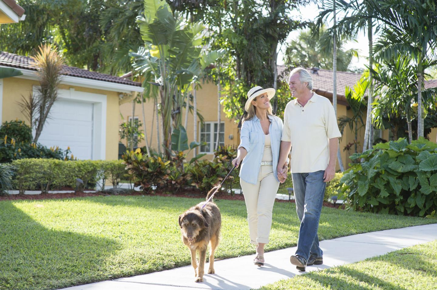 An older couple walks a dog in a suburban neighborhood.