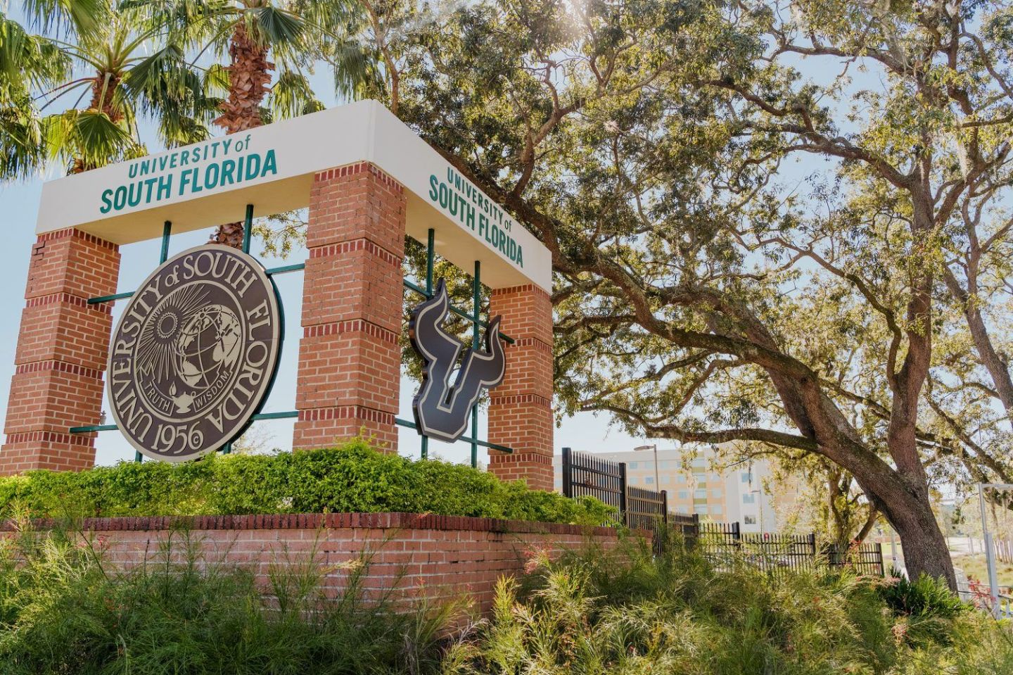 University of South Florida campus