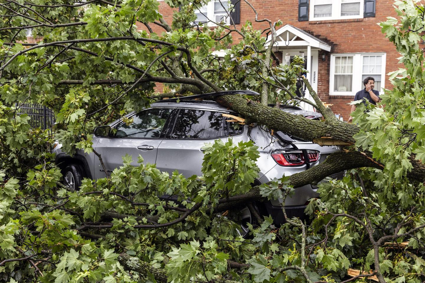 Hurricane Debby remnants leave thousands of businesses and homes without power in the Northeast