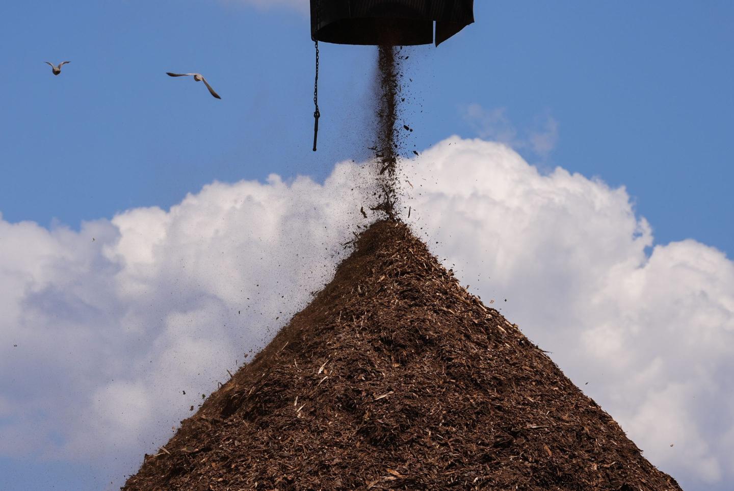 A pile of wood used to make pellets