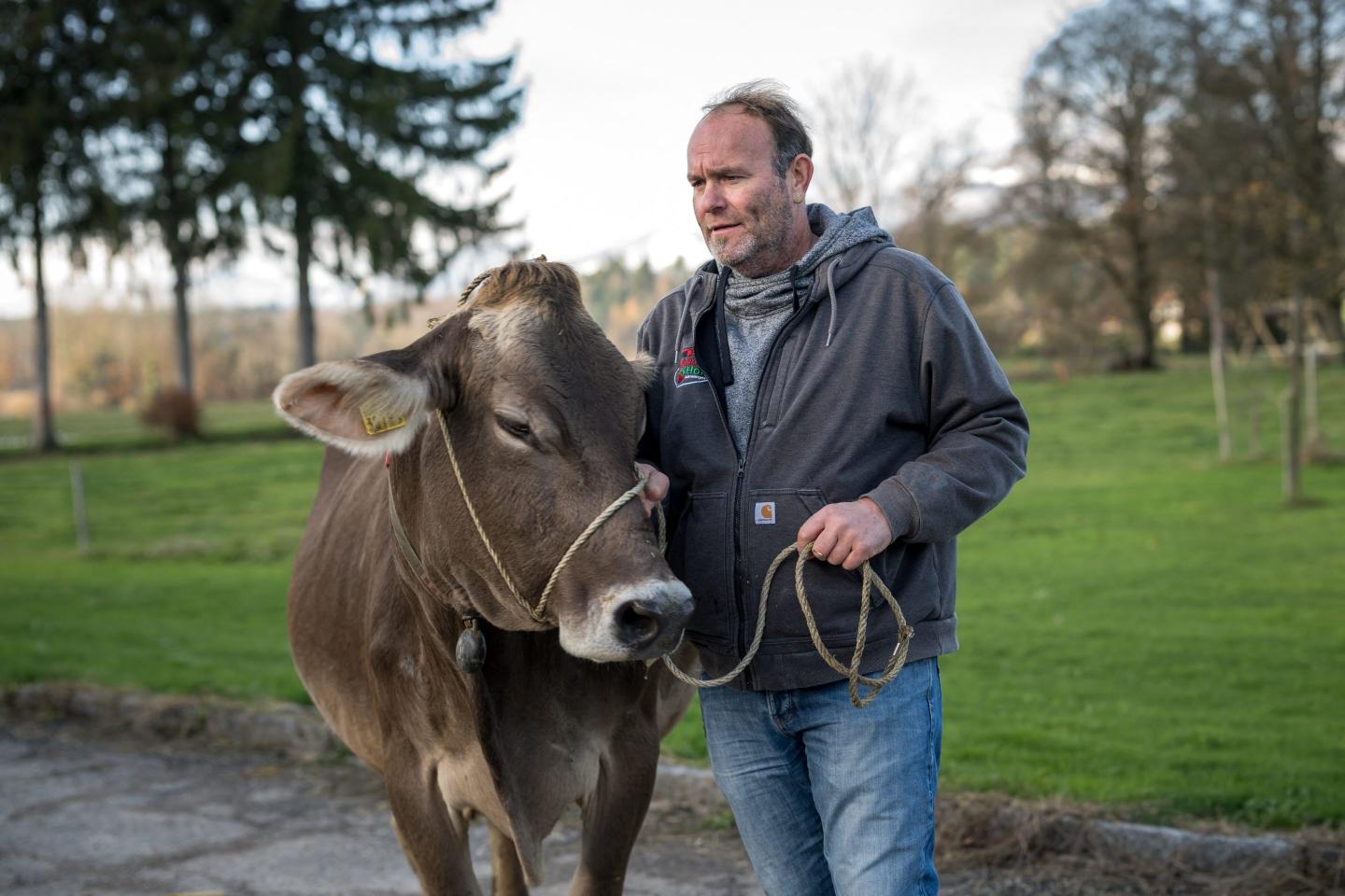 Farmer Rolf Rohrbach poses with one of his cow in the village of Aarwangen, central Switzerland, on November 29, 2023. Cows grazing on lush pastures with ornate metal bells gently tinkling around their necks may be the ultimate symbol of Switzerland, but not everyone is enchanted by such traditional scenes. In the village of Aarwangen in central Switzerland, a complaint was filed earlier this year over the noise levels from a herd of around 15 cows left to graze overnight on a field next to a residential area. (Photo by Fabrice COFFRINI / AFP) (Photo by FABRICE COFFRINI/AFP via Getty Images)