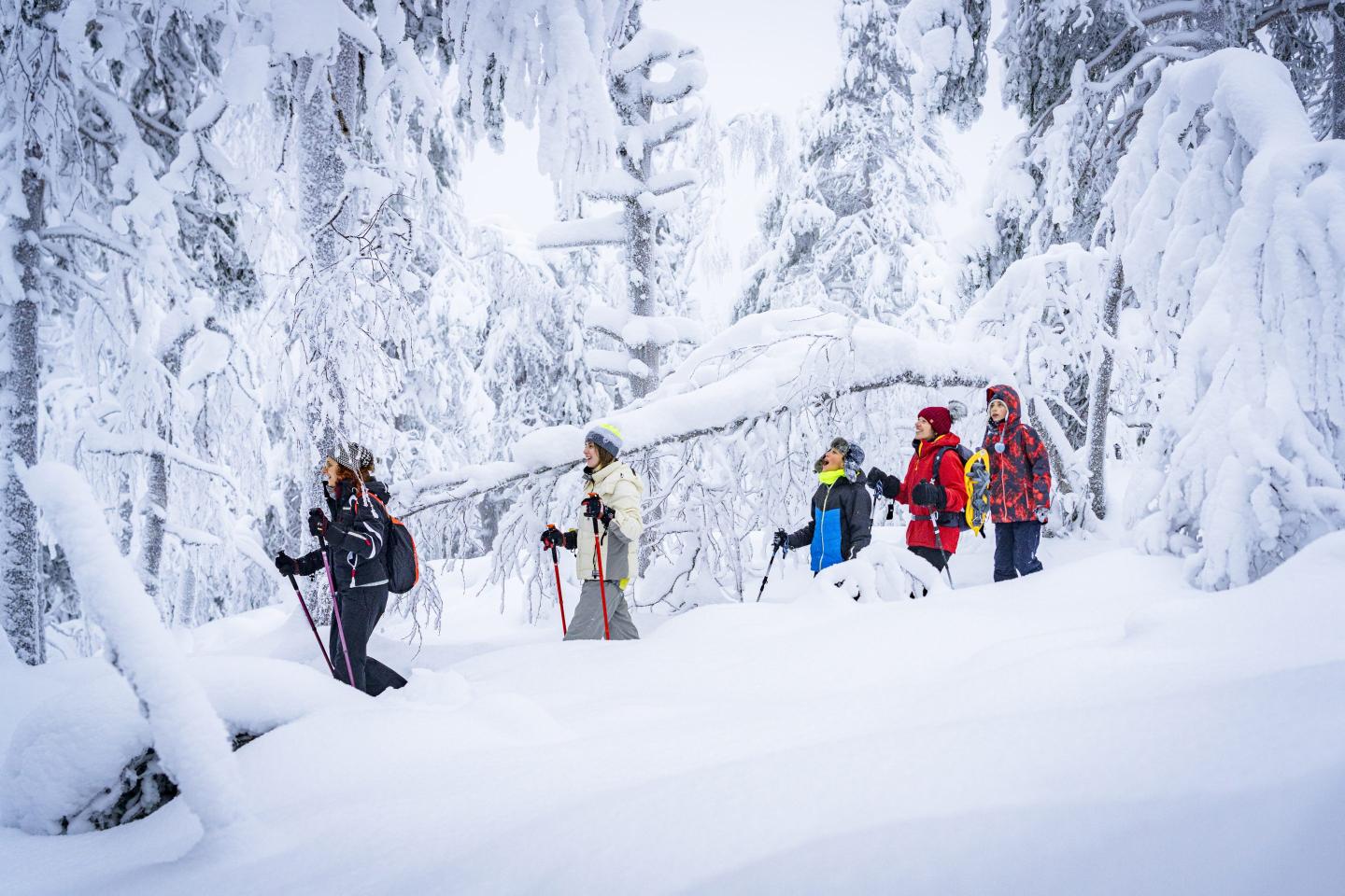 Greenpeace files supreme court case accusing Finland of climate inaction