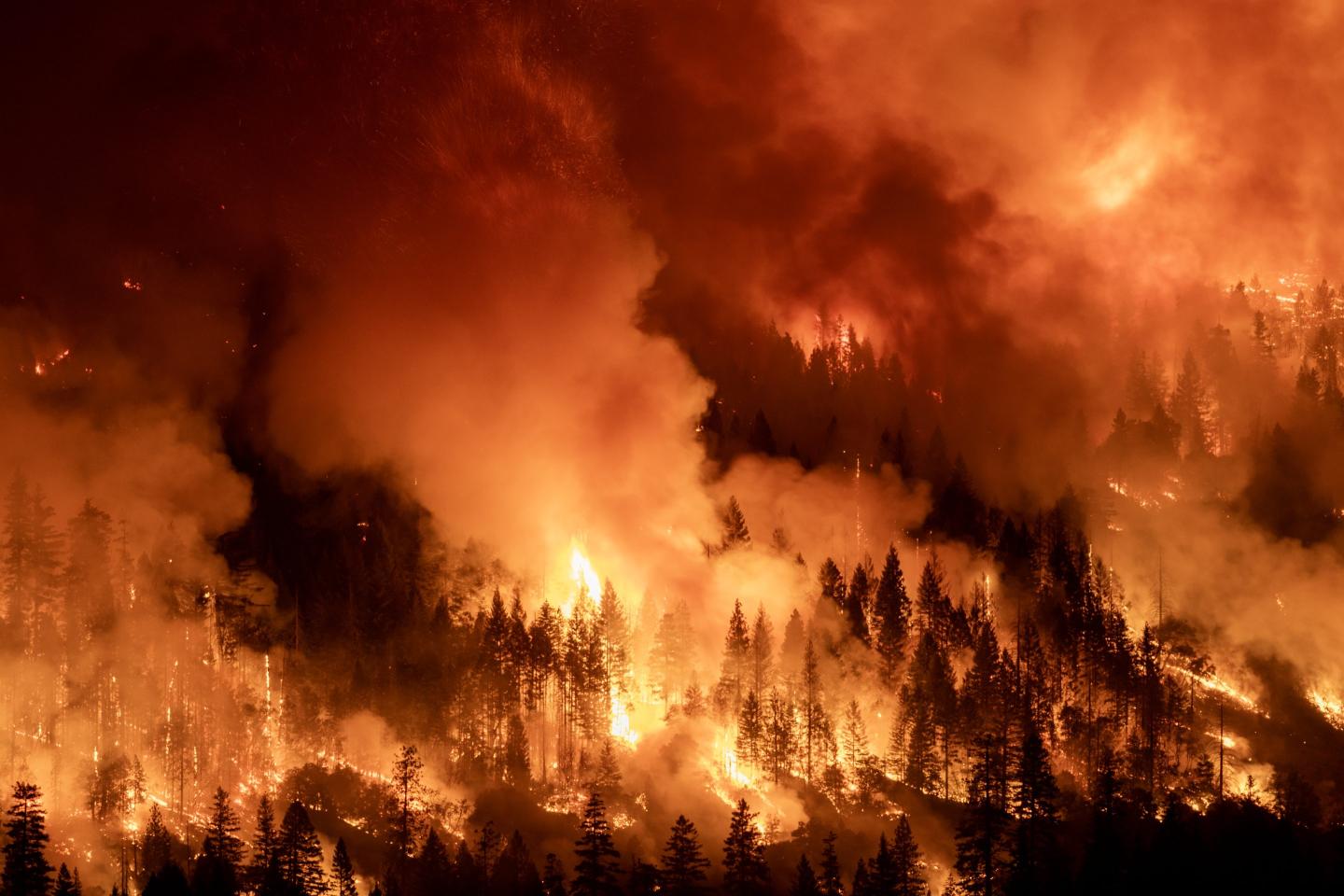 17,000 Californians are about to lose their fire insurance
