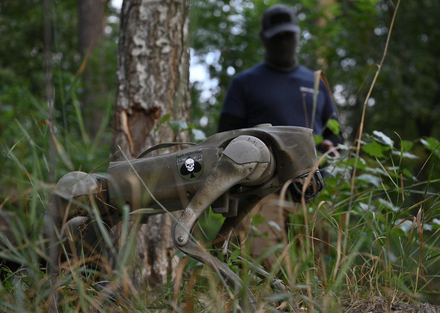 Stealthy and agile, robot dogs could soon become a common sight on the front in Ukraine, replacing soldiers for perilous missions like spying on Russian trenches or detecting mines.