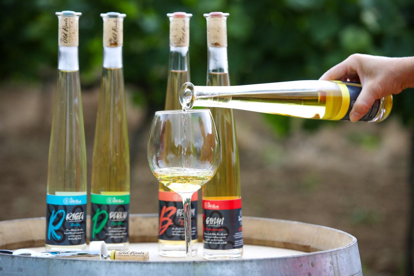 The future could be bright for Irish wine as long as climate change warms up its cool climate