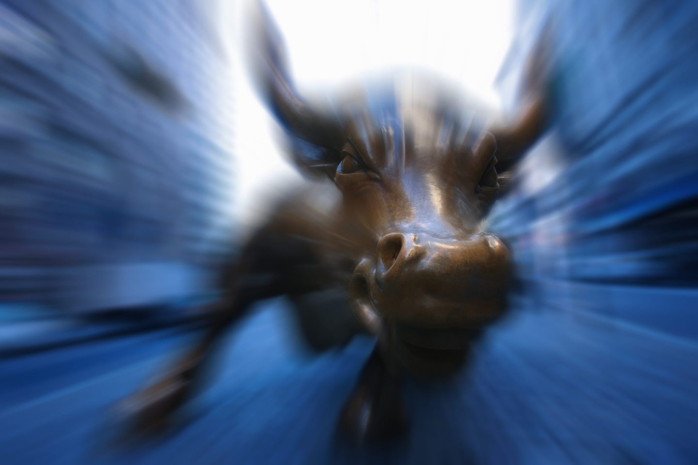 The bull statue in New York's financial district.