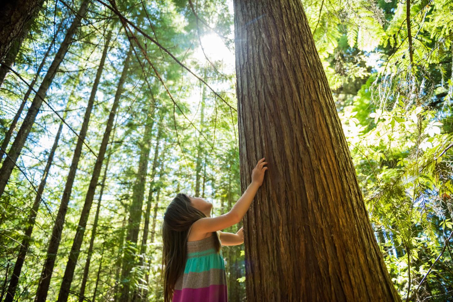 With ESG on the rebound, it’s time to abandon climate doom narratives