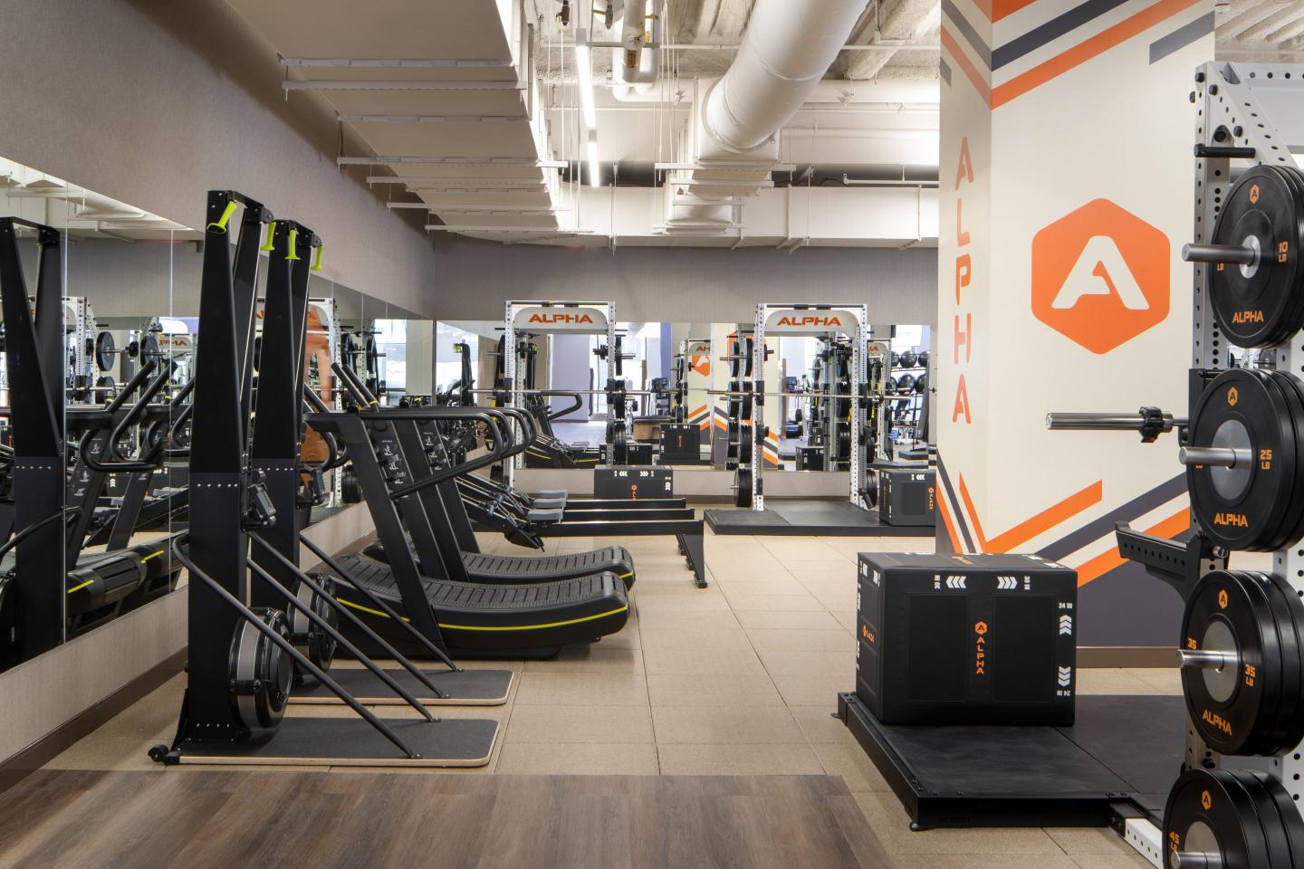 Weight room equipment at Life Time's Penn 1 location.