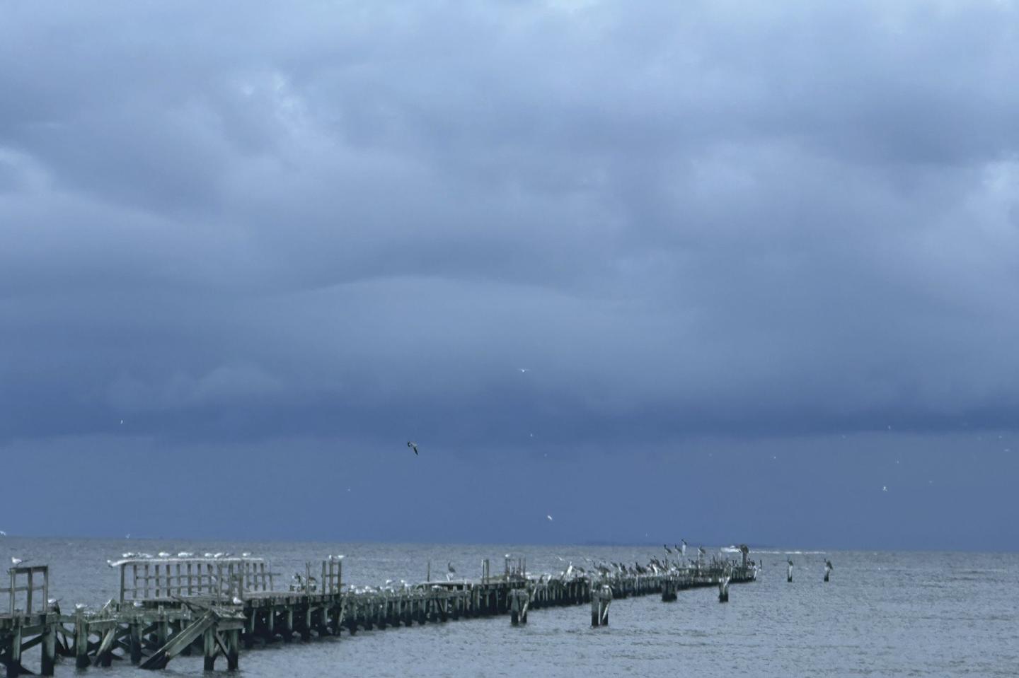 Tropical storm Francine, expected to become a hurricane, heading toward the US Gulf Coast
