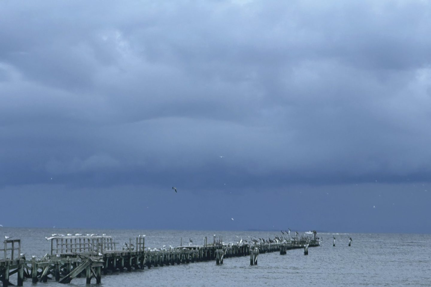 Tropical storm Francine, expected to become a hurricane, heading toward the US Gulf Coast