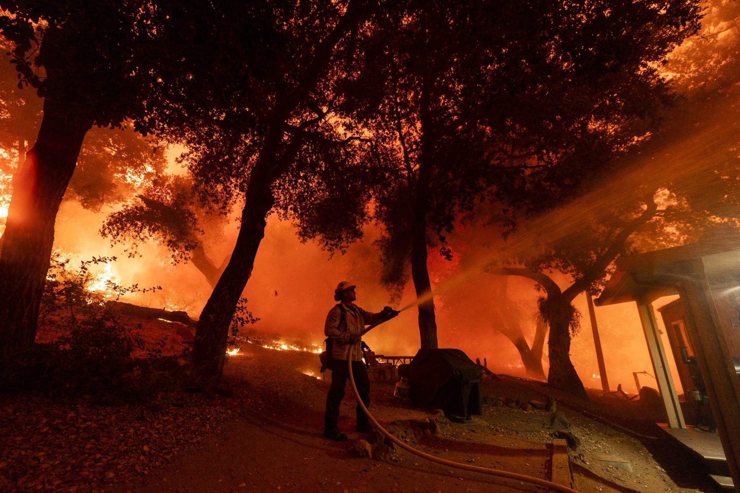A firefighter stands in the middle of woods that are on fire