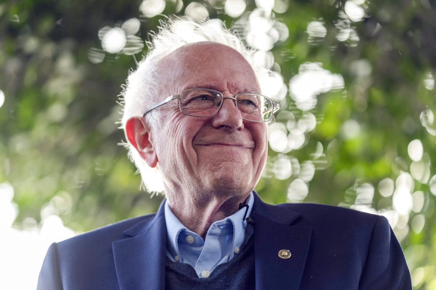 Sen. Bernie Sanders smiles while under a tree.