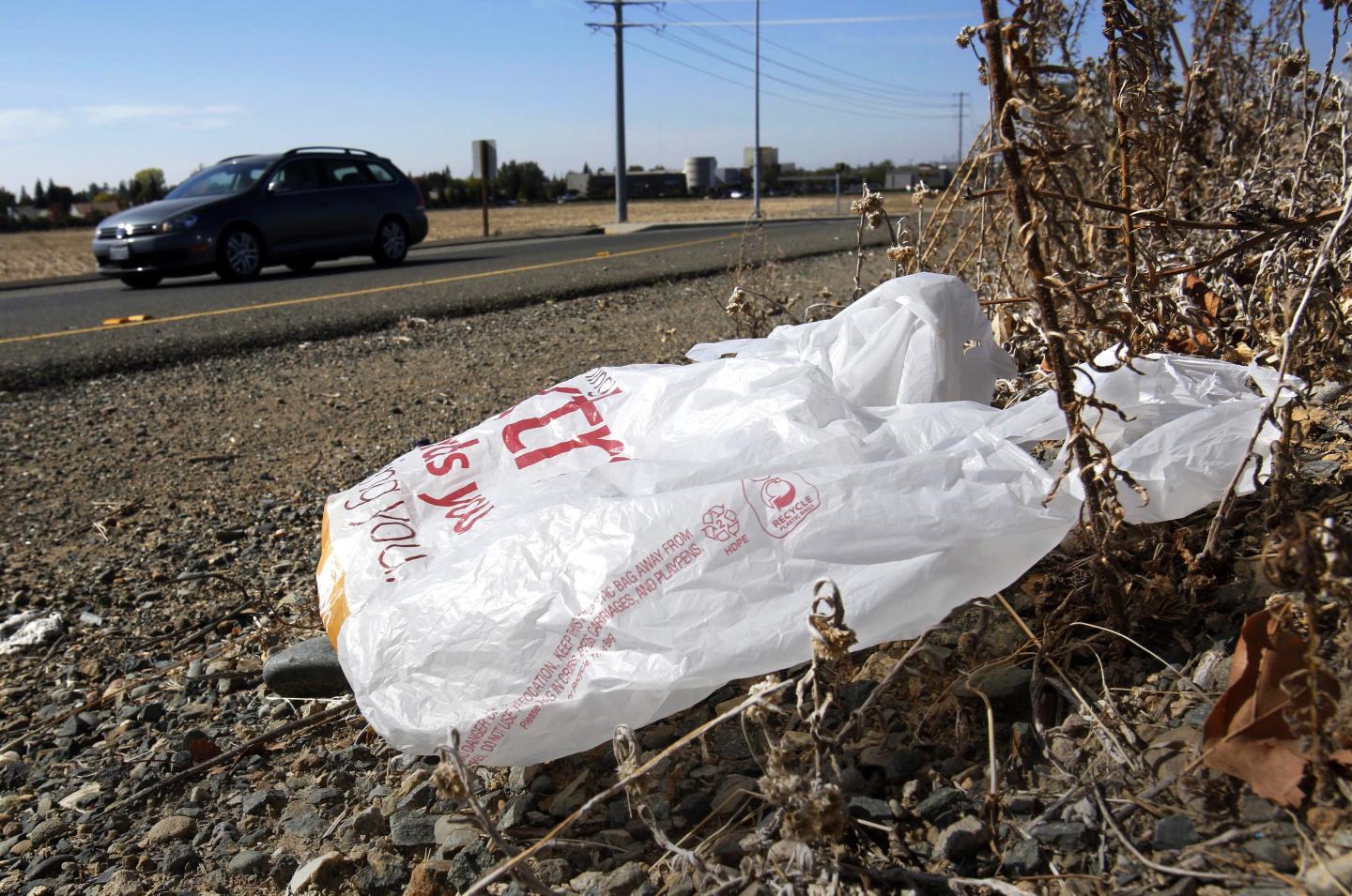 California Gov. Newsom signs law banning all plastic shopping bags at grocery stores