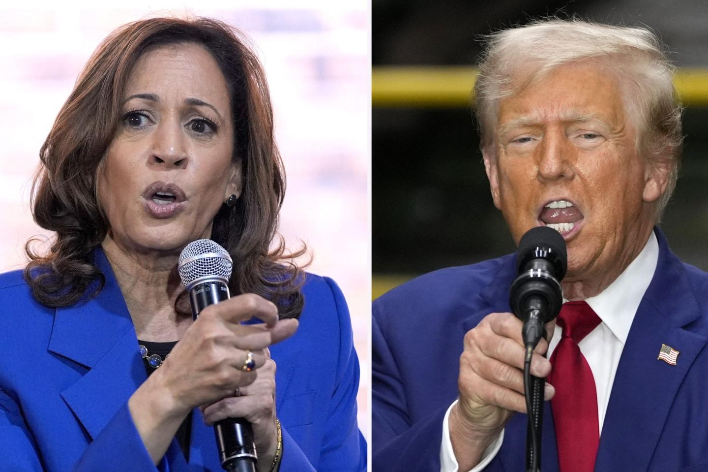 A side-by-side picture of Kamala Harris and Donald Trump