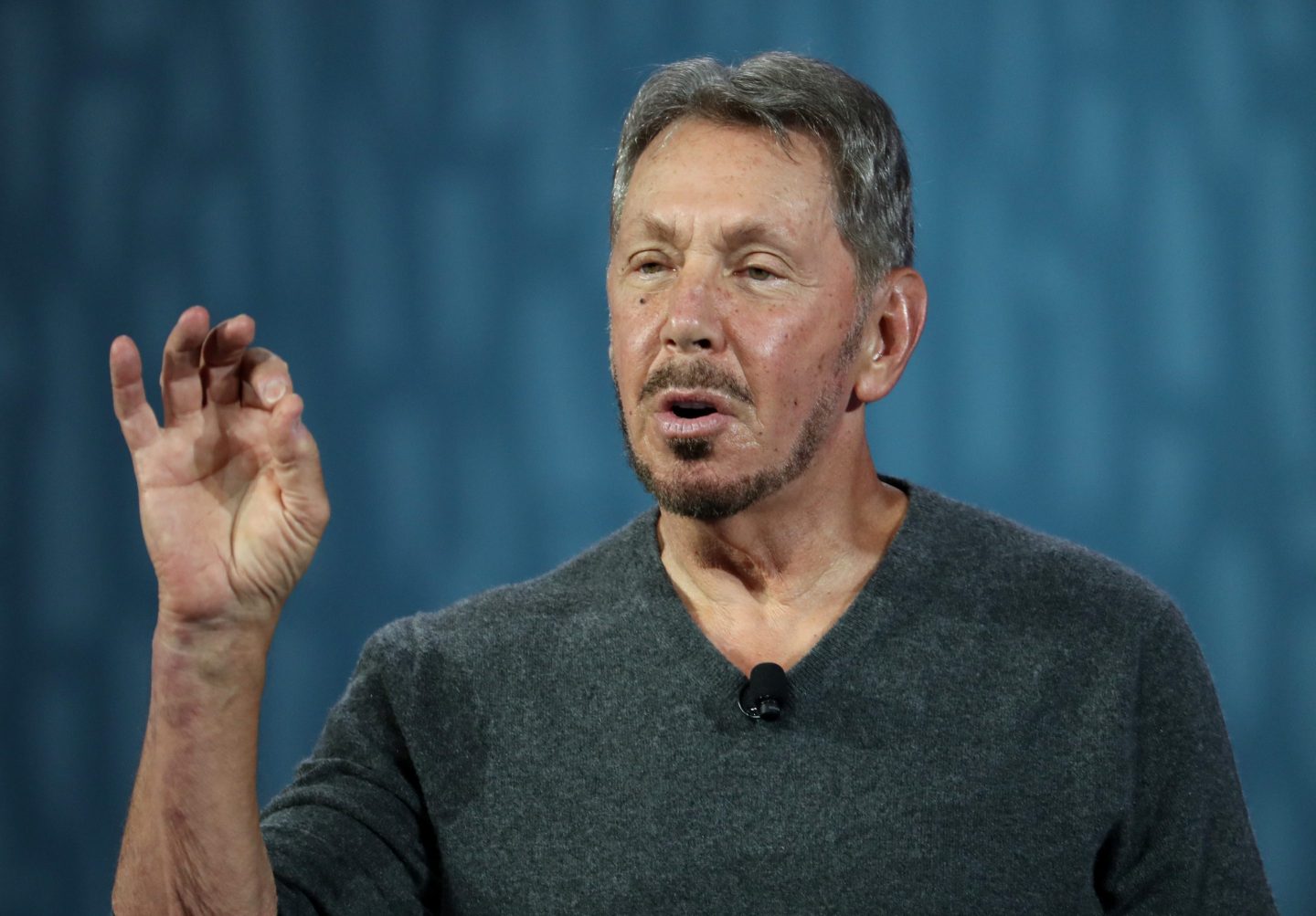 Larry Ellison is seen in a gray shirt.