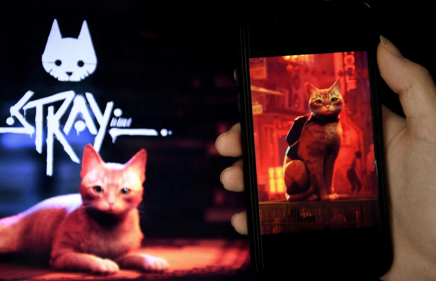 The image shows a person holding a phone displaying a still from the video game Stray, featuring an orange tabby cat wearing a small backpack, set in a dimly lit, neon-tinged urban environment. In the background, a larger screen shows the Stray logo and another image of the same cat, lying down and looking toward the viewer. The cat is the main character of the game, which revolves around the adventures of a stray cat navigating a futuristic, dystopian city.