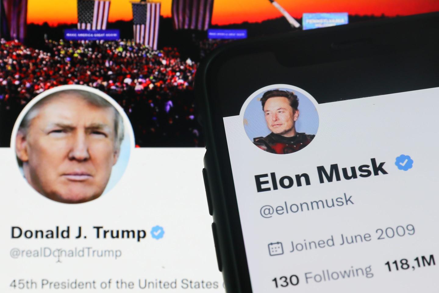 The image shows two social media profiles side by side. On the left is Donald Trump's Twitter profile, displaying his official account. On the right is Elon Musk's Twitter profile, which includes his profile picture featuring him in a futuristic or sci-fi styled outfit.