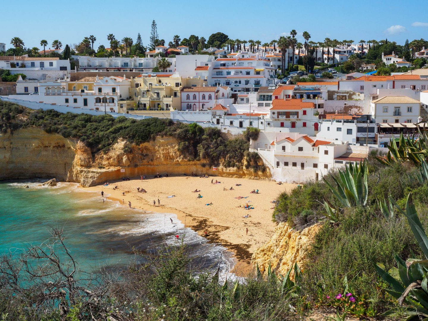 homes overlooking beach