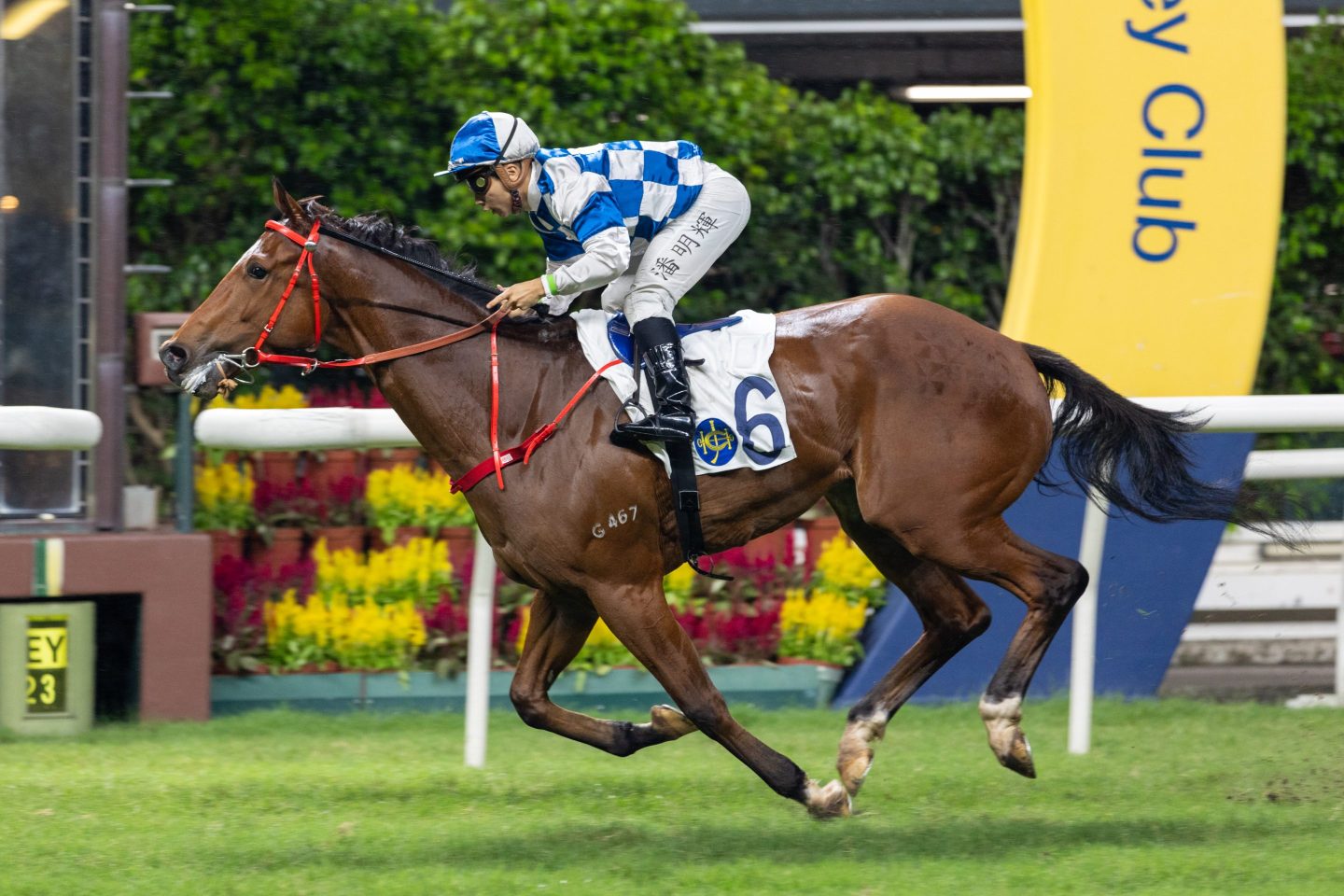The Hong Kong Jockey Club donated an average of $507 million annually between 2018 and 2022, making it the top charitable organization in Asia—and 15th globally.