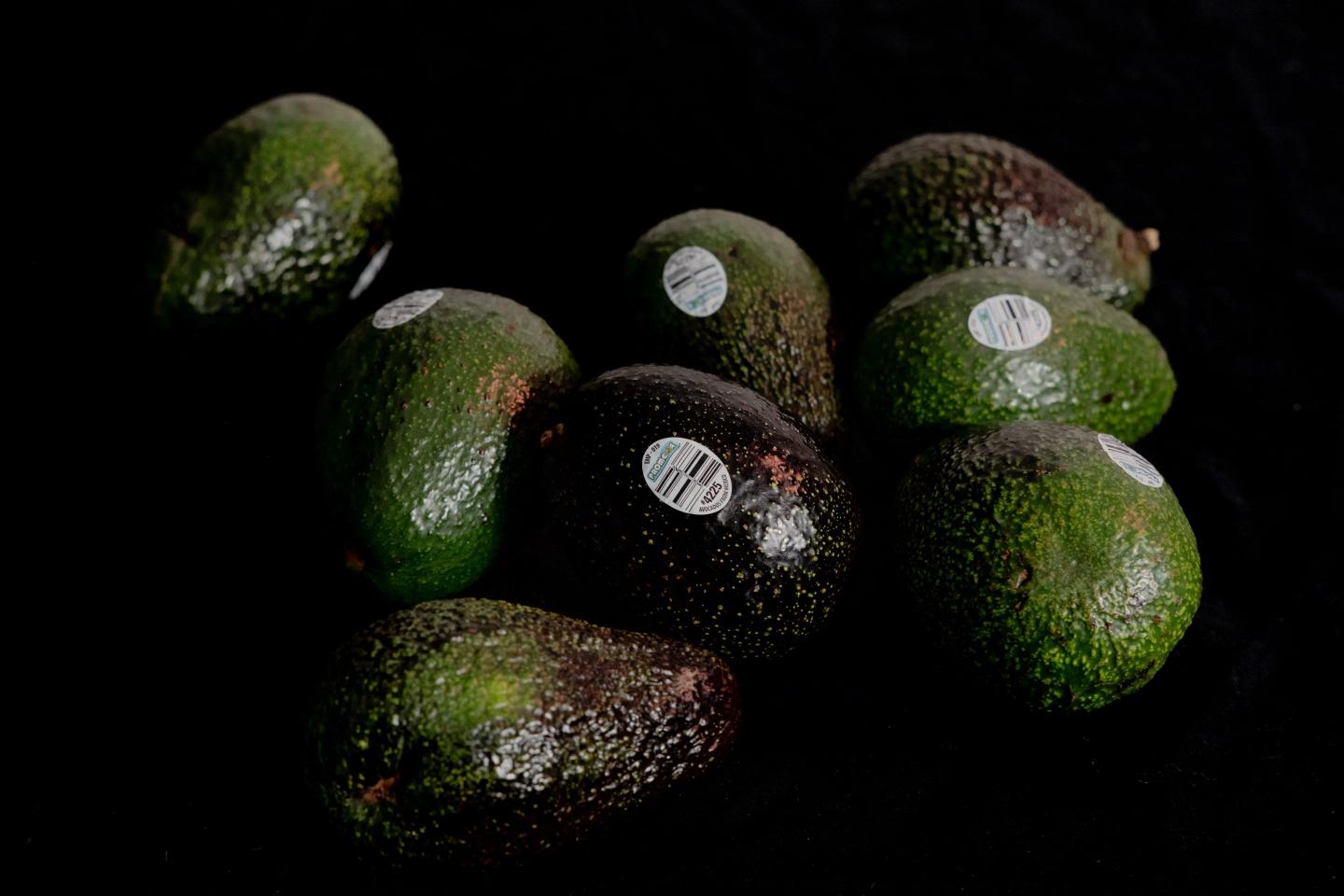 U.S. will now let Mexico inspect its own export avocados for pests and California growers aren’t happy