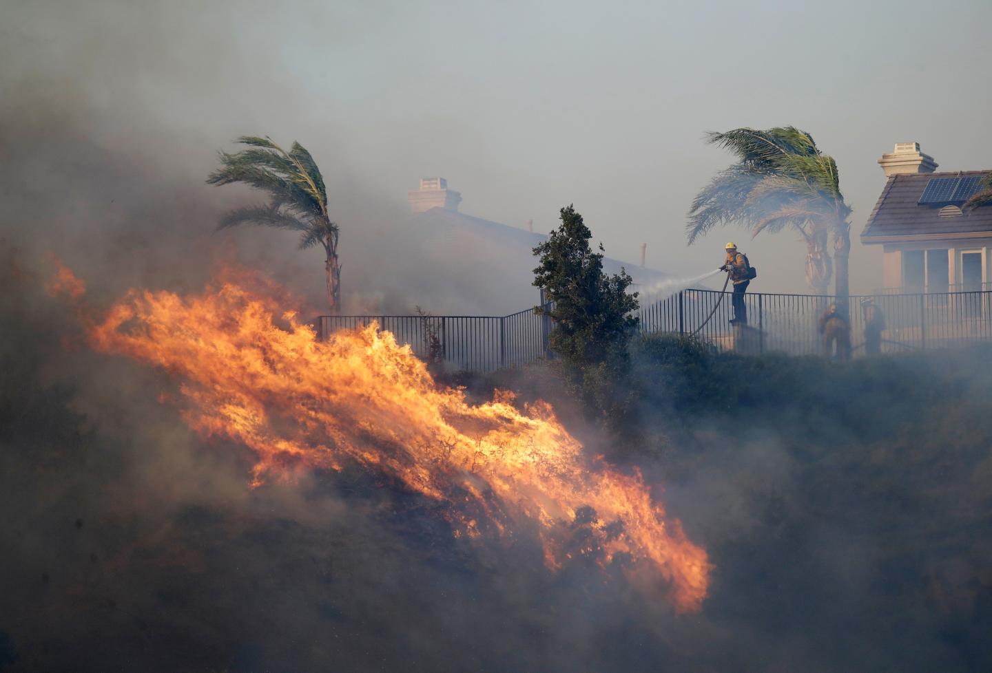 A firefighter sprays water in front of an advancing wildfire in California. Palm trees are seen swaying in the wind, and smoke and fire is blowing violently.