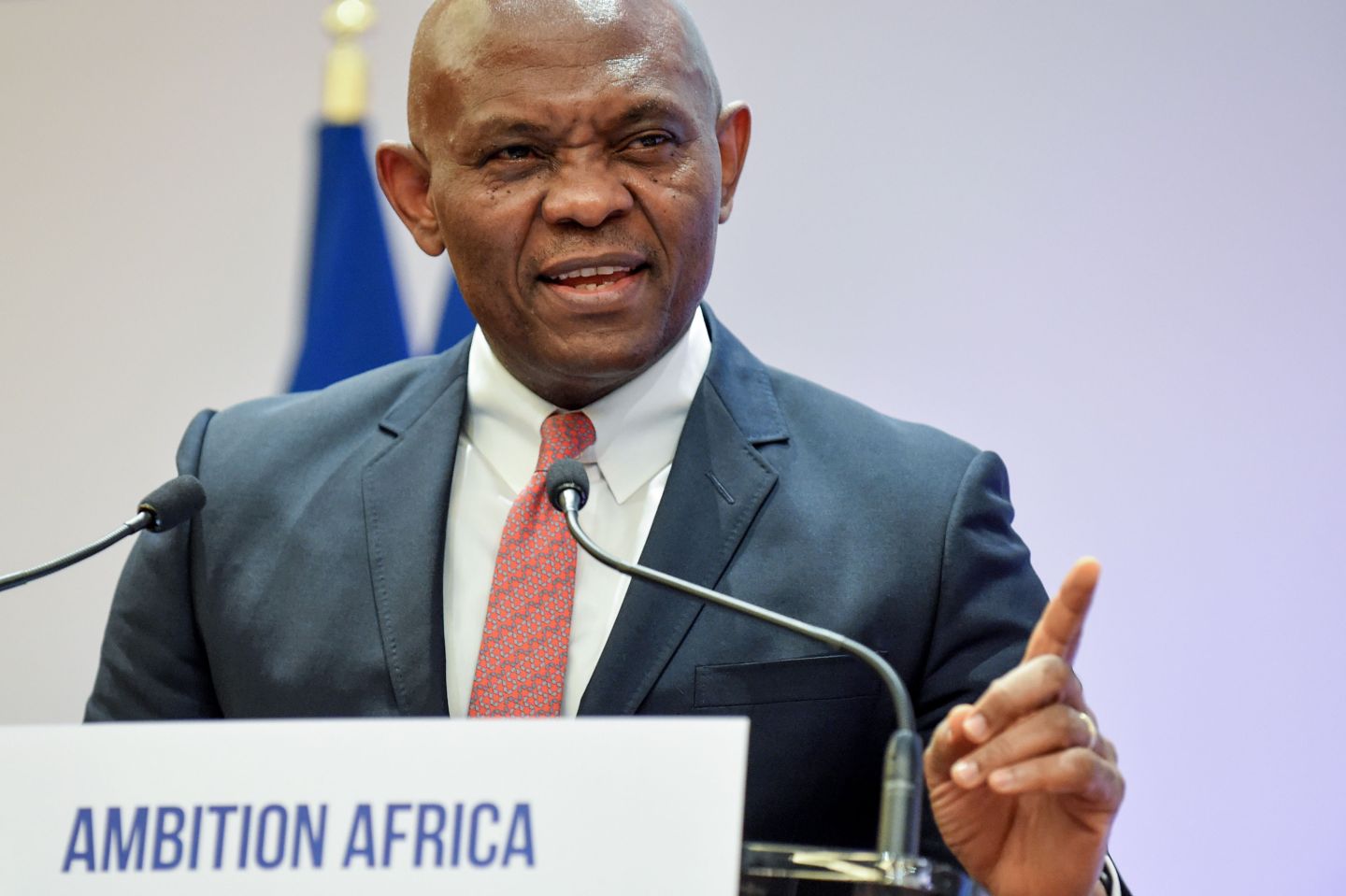 A photo of Tony Elumelu, United Bank for Africa president and founder of The Tony Elumelu Foundation, at the opening session of the conference "Invest for Growth in Africa" organised by French private equity association France Invest on October 30, 2019 at the French Economy and Finance ministry in Paris. (Photo by ERIC PIERMONT / AFP) (Photo by ERIC PIERMONT/AFP via Getty Images)
