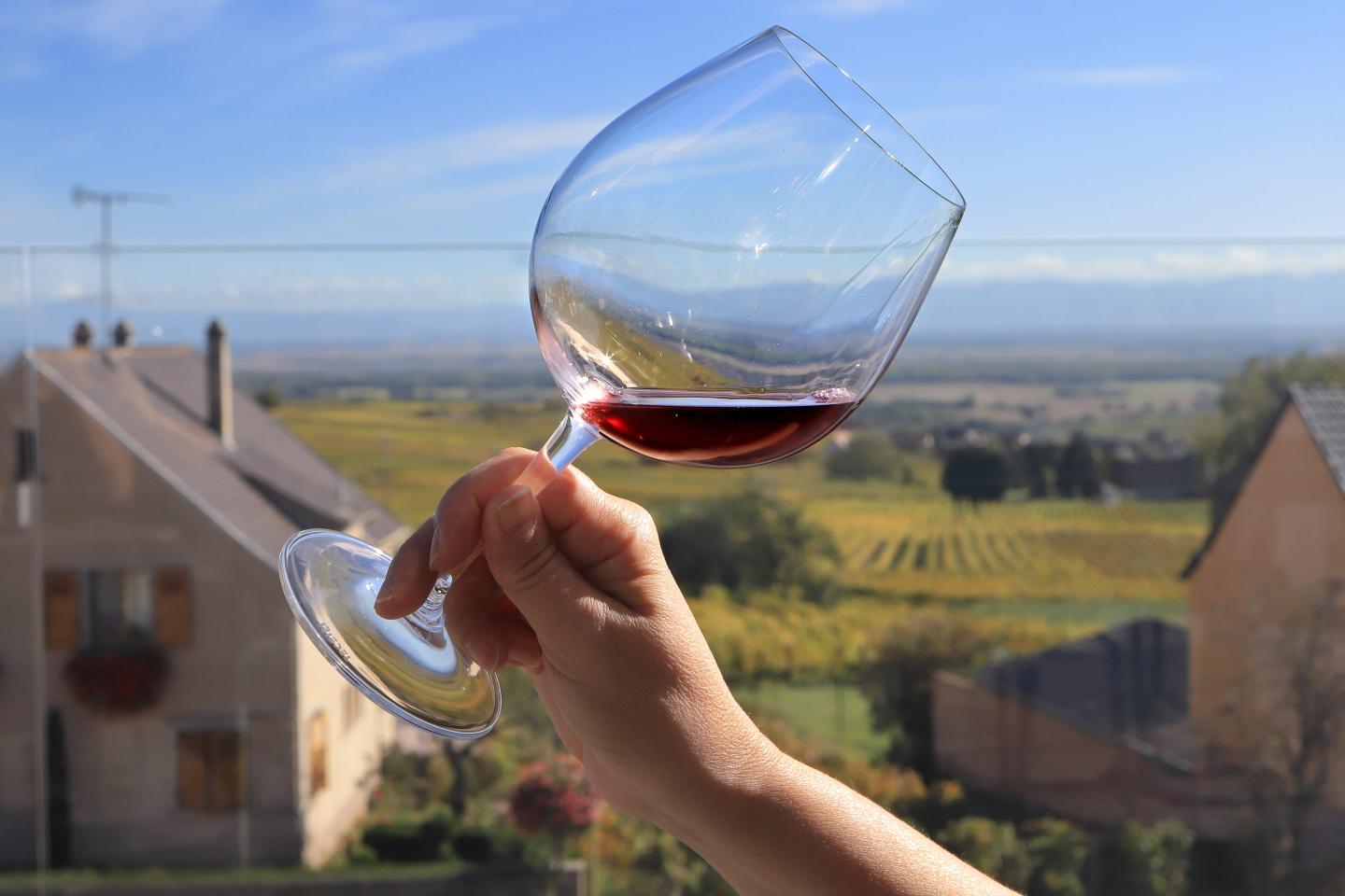 A visitor enjoys a glass of a glass of Maison Joseph Cattin AOC Alsace 2018 vintage Pinot Noir wine on the winery's terrace on October 11, 2019 in the village of Voegtlinshoffen in the Alsace region of eastern France.