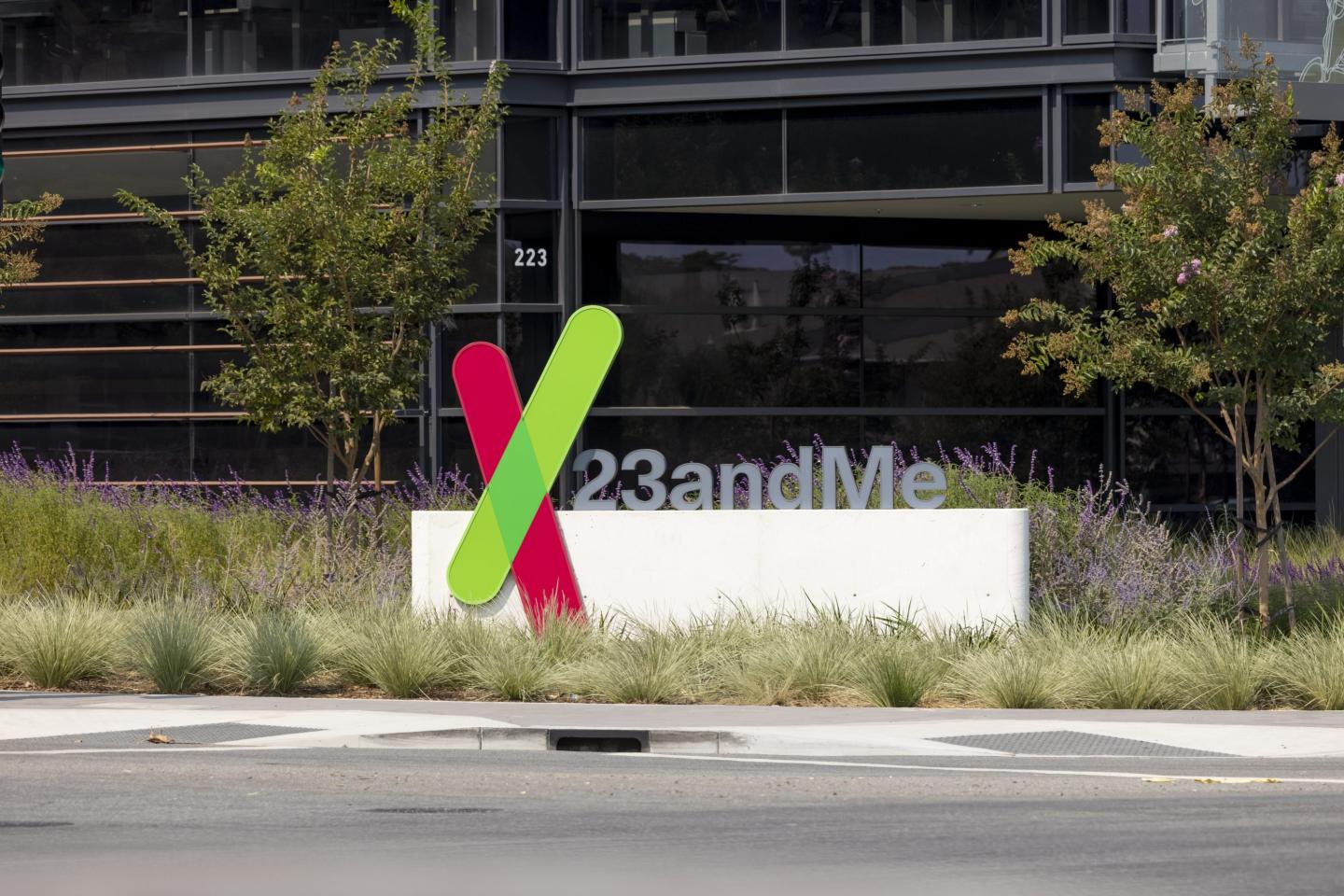Here's what to know about the information you provided to 23andMe. 