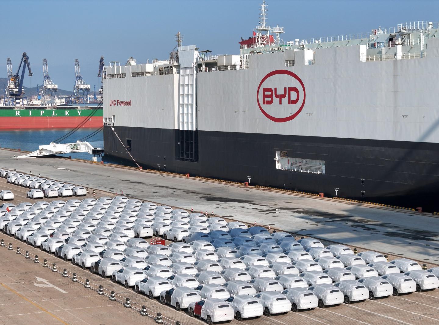 The ''BYD Explorer No. 1'' car carrier is being loaded with new energy vehicles for export at the port of Yantai, Shandong Province, China, on January 10, 2024.