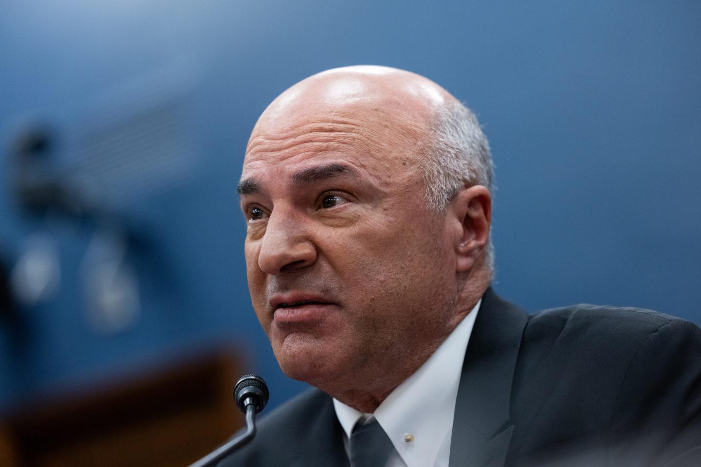 Shark Tank star Kevin O’Leary supports Elon Musk’s plan to gut government spending by $2 trillion with Trump’s blessing—’release the hounds’
