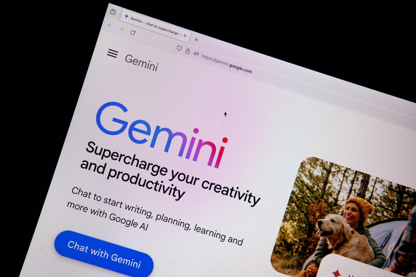 A Google Gemini generative artificial intelligence webpage