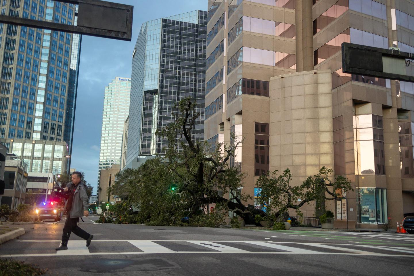 A tree blocks a street after Hurricane Milton swept through downtown Tampa, Florida