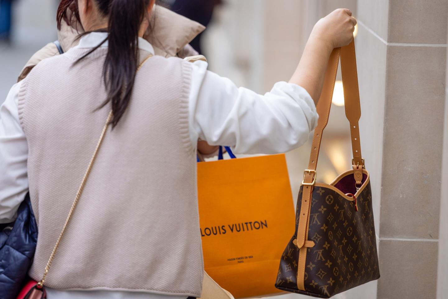 person holding louis vuitton bag