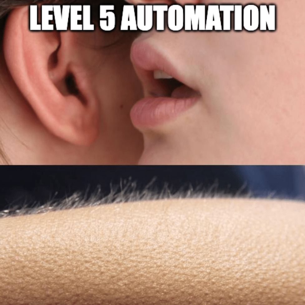 A two-panel meme of someone whispering in an ear and them getting goosebumps with the caption, "Level 5 automation."