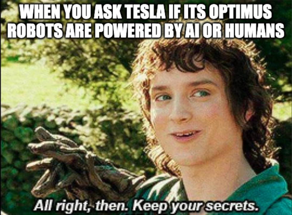 A meme of Frodo from Lord of the Rings with the caption "When you ask Tesla if its Optimus robots are powered by AI or humans" and a response "All right, then, keep your secrets"