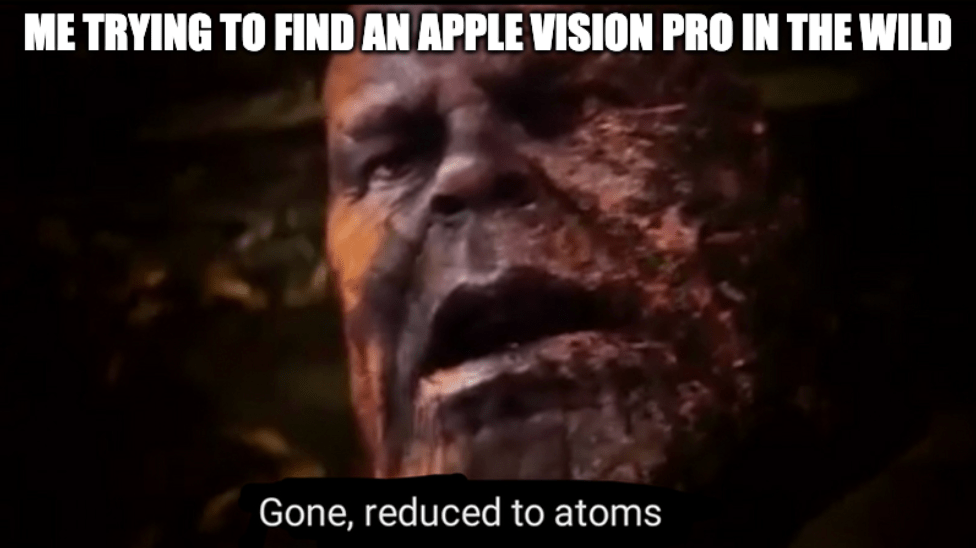 A meme of comic character Thanos with the caption, "Me trying to find an Apple Vision Pro in the wild: Gone, reduced to atoms"