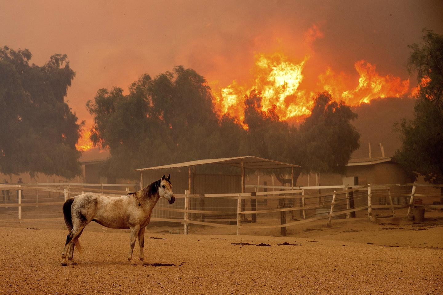 California wildfire destroys 132 buildings as raging winds spread the flames across 32 square miles