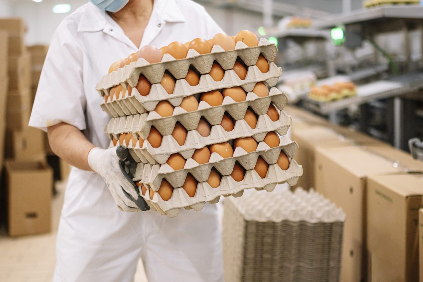 Woman working in egg factory