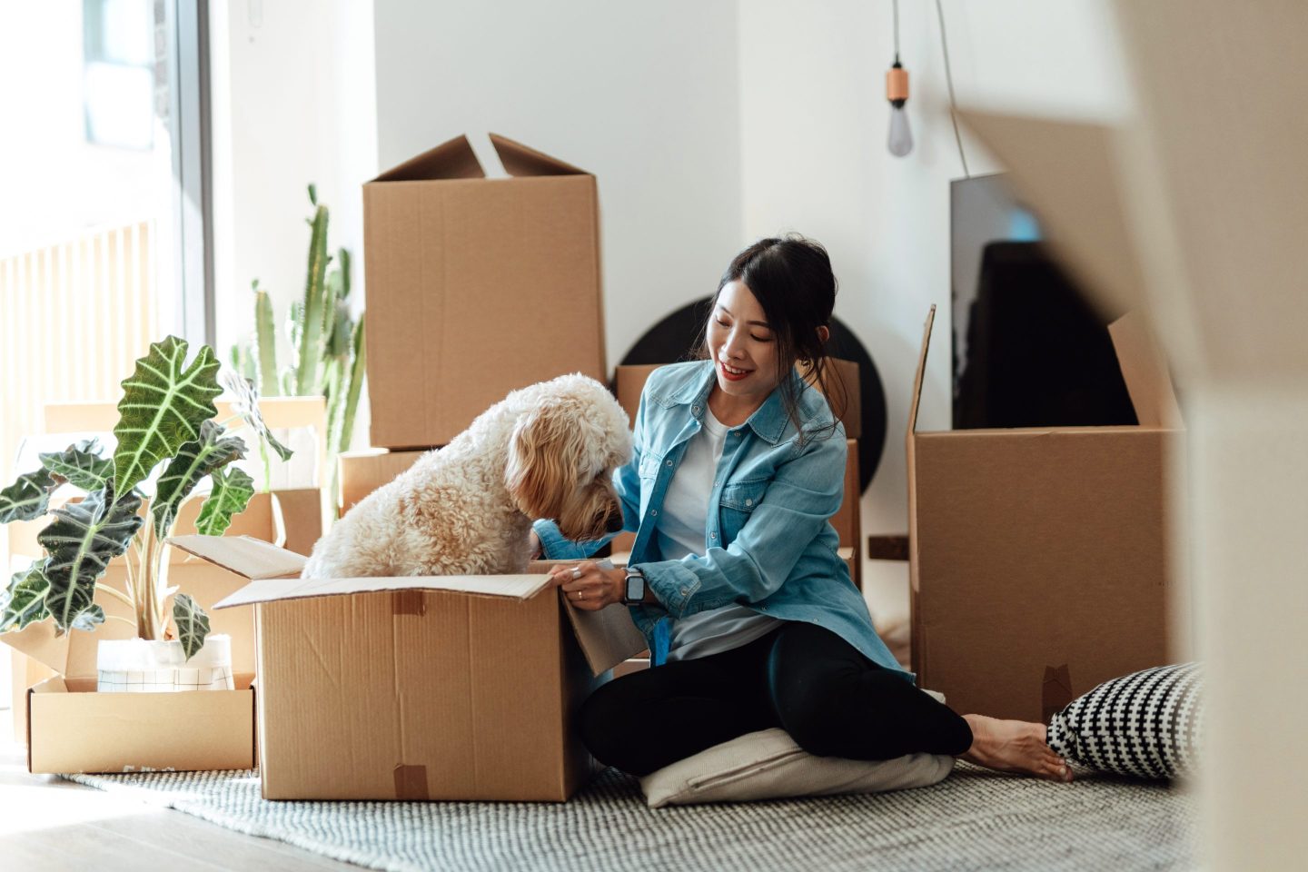 Young Asian woman having fun with her dog while unpacking cardboard boxes in the living room