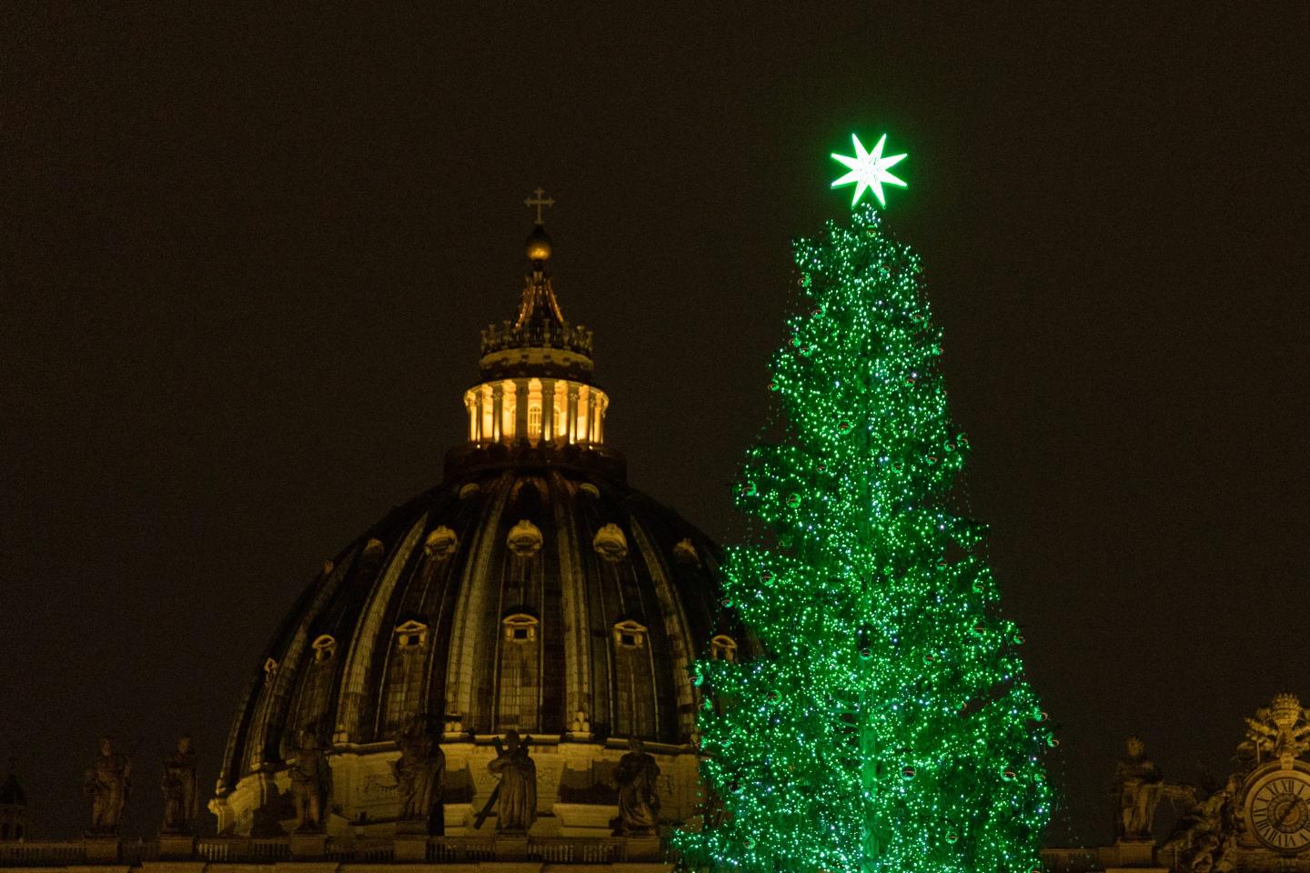 The Vatican picked its Christmas tree. That’s when the trouble started…