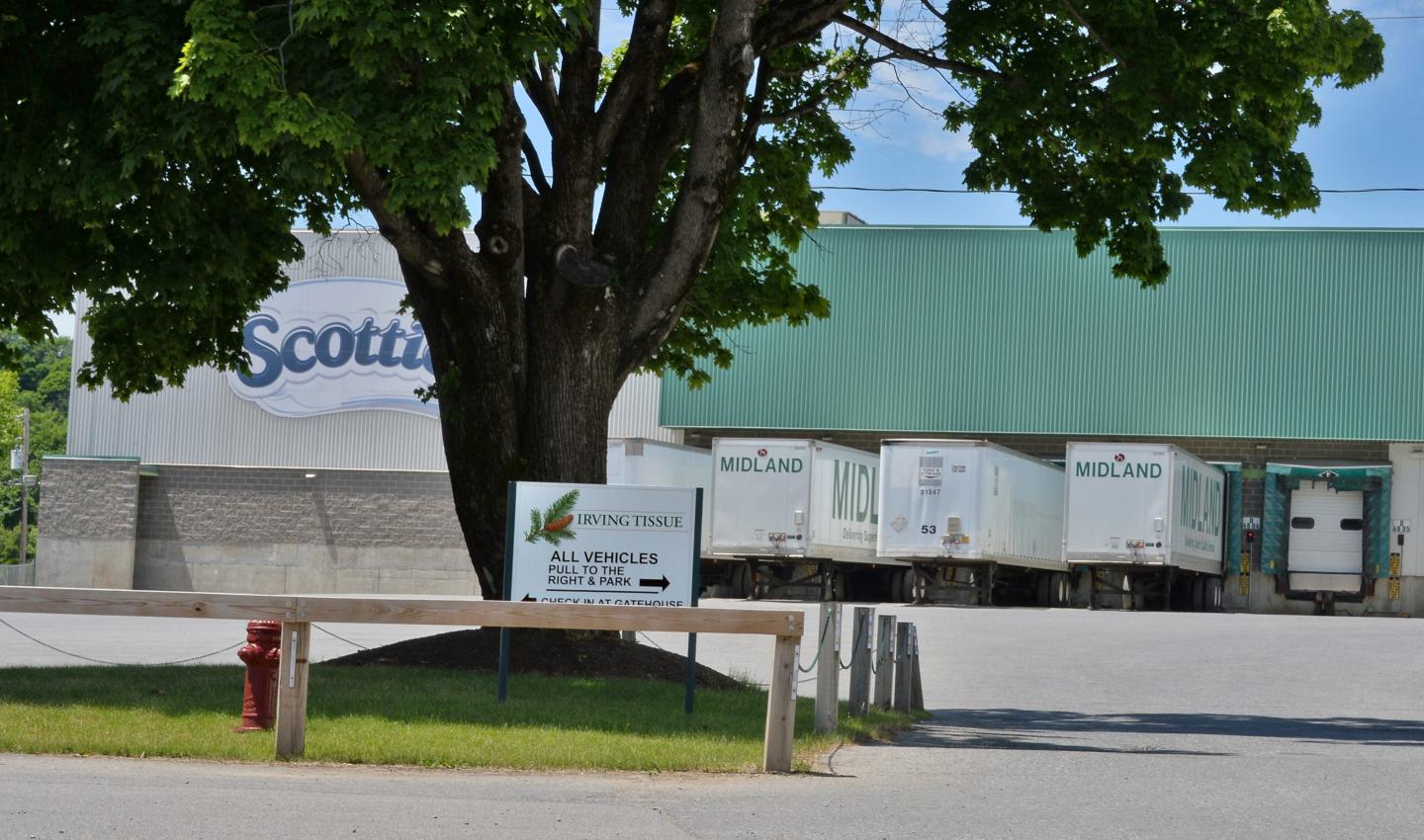 The Irving Tissue plant
