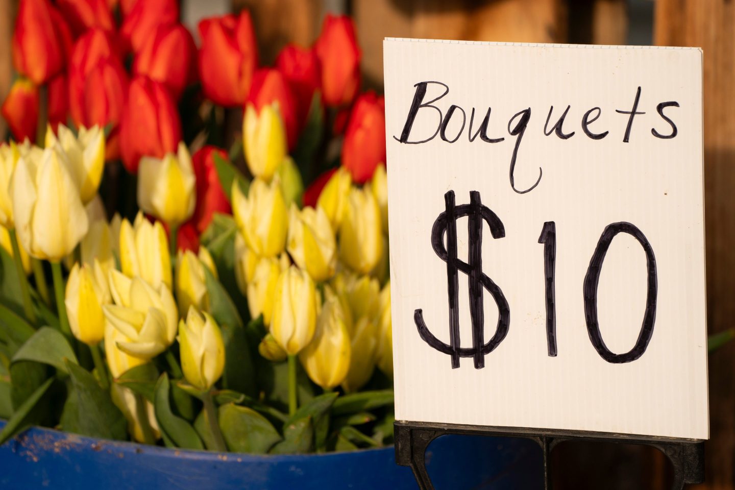 Tulip bouquets for sale at Tulip Valley Farms in Mount Vernon, Wash. on April 5, 2024.