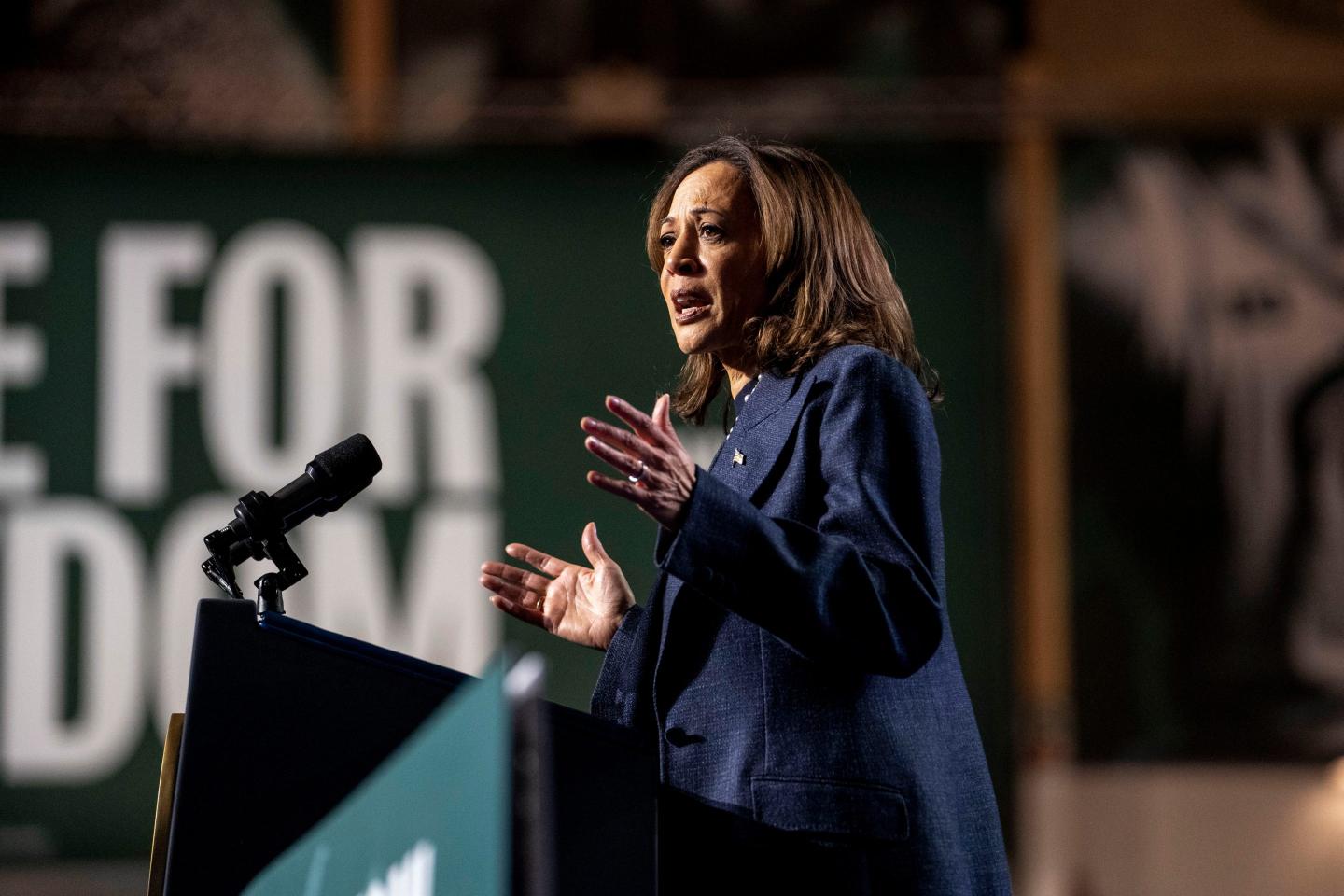 US Vice President Kamala Harris