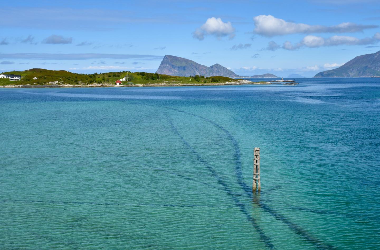 Undersea cables between Germany and Finland severed—sparking suspicion of sabotage