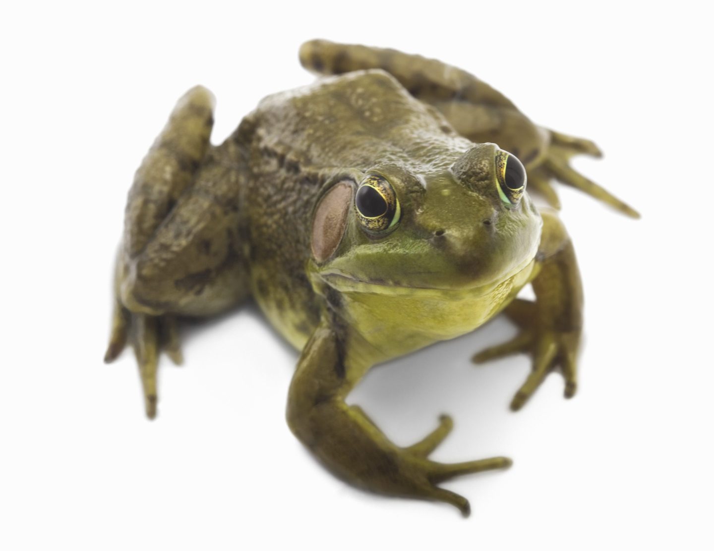 Pizza Hut isn't afraid of odd toppings.