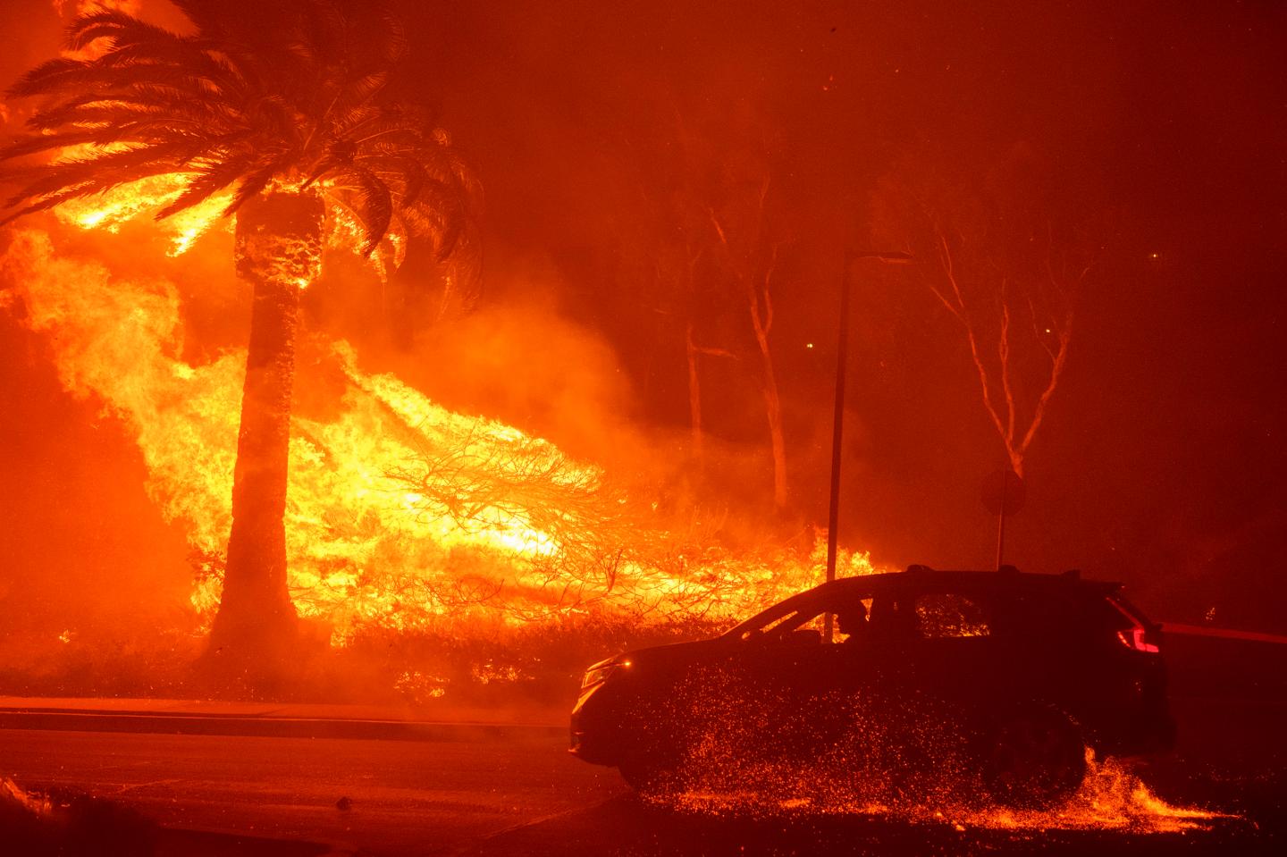 Cher and Dick Van Dyke among celebrities fleeing wind-driven Malibu wildfire